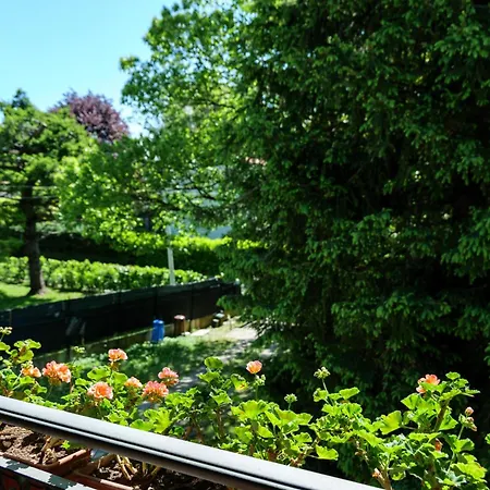 Chalet In The Woods House For 8 Persons And Large Garden Nebbiuno