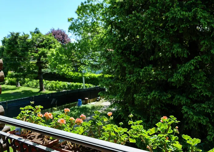 Alpehytte In The Woods House For 8 Persons And Large Garden Nebbiuno